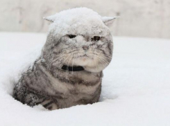 Снег в Морозовске может пойти уже в ночь с воскресения на понедельник