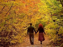 Тепло пришло, когда его не ждали, - 19 ноября в Морозовске снова выше  +10° 