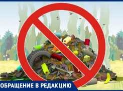 Предлагаю создать летучие отряды по благоустройству города! – морозовчанка