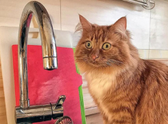 Воды в Морозовске не будет 9 ноября с 8 до 12