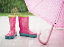 Небольшой дождь обещают морозовчанам в понедельник