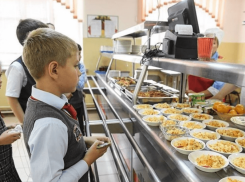 Учеников начальной школы в Ростовской области обеспечат бесплатным горячим питанием