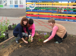 Родители совместно с воспитателями в Морозовске высадили цветы в детском саду 