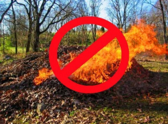 Морозовчан предупредили о штрафах до 100 тысяч рублей за выжигание сухой растительности