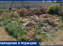 «Приехала в гости к маме и охренела»: на улицах Морозовска опять растут вонючие мини-свалки