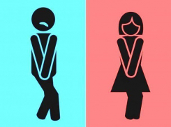 Вопрос-ответ: Почему в гимназии №5 Морозовска для детей открыт только один туалет на первом этаже?