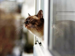 +19 градусов ожидают морозовчан уже днем 3 апреля