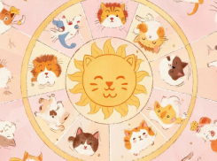 Что приготовили звезды морозовчанам в последнюю предновогоднюю неделю