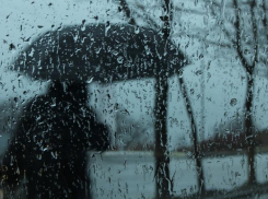 В четверг, 3 марта морозовчанам тоже обещают дождь