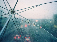 Дождь и всего 2 градуса тепла обещают синоптики в воскресенье, 19 ноября