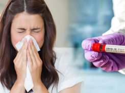 8 октября: COVID-19 подтвердили еще у 23 морозовчан