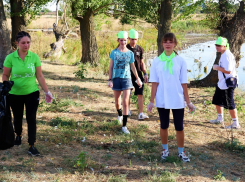 Морозовская молодежь и в этом году вышла на «Экопикник»