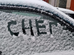 Снегопад спрогнозировали морозовчанам синоптики