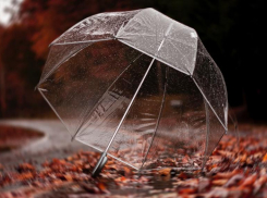 Похолодание и дожди придут в Морозовск во второй половине недели