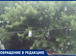 Соседские заросли мешают бабушке и другим людям, - морозовчанка