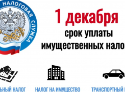 12 дней осталось у морозовчан, чтобы успеть оплатить налоги 