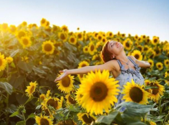 19 августа температура воздуха в Морозовске поднимется всего до +26 градусов