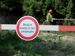 Запрет на посещение донских лесов будет действовать до 20 июля