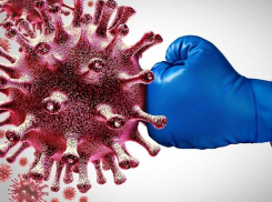 29 июля: еще один умерший и один выздоровевший от COVID-19 появились в статистике по Морозовскому району