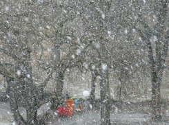 Экстренное предупреждение: в Ростовской области ожидаются сильный гололёд и мокрый снег