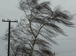 Весной и не пахнет: субботний день в Морозовске будет ветреным и холодным