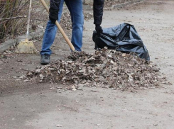 Морозовчан пригласили на весенний общегородской субботник 