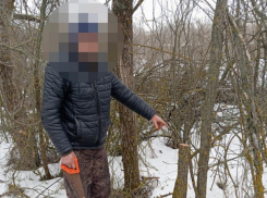 Два года тюрьмы за сруб трех деревьев грозит жителю Морозовского района 