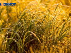 Дождь в понедельник в Морозовске будет только утром