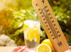 Жара не отступает: морозовчанам снова обещают до +34 градусов в тени