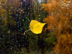 Сильный дождь обещают морозовчанам в пятницу, во второй половине дня