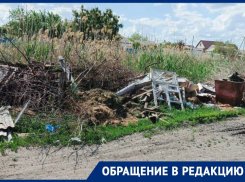 «У свиней в сарае чище!»: местные жители возмущены свалкой на улице Мичурина