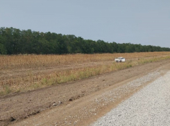 Два пассажира пострадали при опрокидывании автомобиля в кювет на трассе «Морозовск — Цимлянск — Волгодонск»