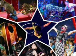 18 и 19 декабря Морозовск ждет эффектное и завораживающее шоу цирка-шапито «АЛЛЕ»