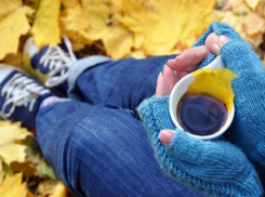 Настоящая осень добралась до Морозовска: синоптики обещают резкое похолодание