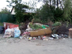 Плачевную ситуацию с мусором прокомментировали в прокуратуре Морозовского района