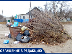 Неужели чтобы это свинство в городе убирали, нужно каждый раз куда-то писать, - морозовчанка