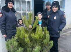 Полицейские поздравили семью Харахординых из Морозовска и подарили им елку 