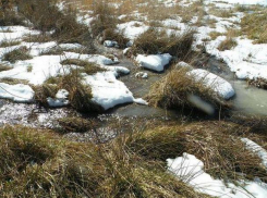 +7 и солнце: весна в Морозовске очнулась к последним дням марта