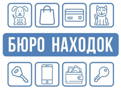 Потеряшки дня: в Морозовске ищут хозяев кота, собаки и банковской карты