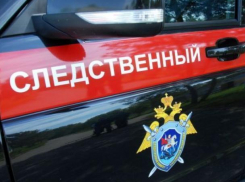 Проверкой обстоятельств гибели женщины и двух ее детей в Морозовске занялся Следственный комитет 
