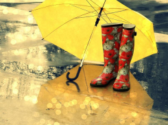 Вторник для морозовчан тоже может оказаться дождливым