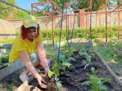 Обязательные майские работы в саду и огороде