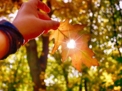 Очередной теплый и солнечный день обещают синоптики в субботу