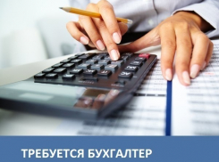 Приюту в Морозовске требуется главный бухгалтер