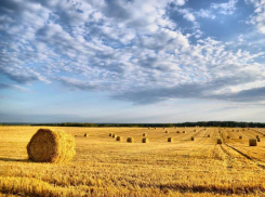 Облачность и +23 градуса тепла обещают морозовчанам днем, в воскресенье