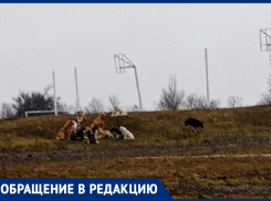 Дети боятся ходить в школу! - морозовчанка