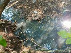 Дождя нет и в помине, но в канаве возле реки Быстрой в Морозовске обнаружили много жижи, пахнущей канализационными отходами