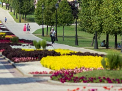 Три общественные территории Морозовска, требующие благоустройства в первую очередь, попали на голосование