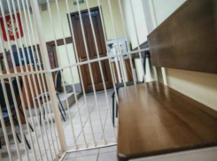 Мужчину, укравшего 5-летнюю девочку для «сожительства», собираются принудительно лечить
