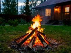 За костер морозовчан могут оштрафовать до полумиллиона рублей